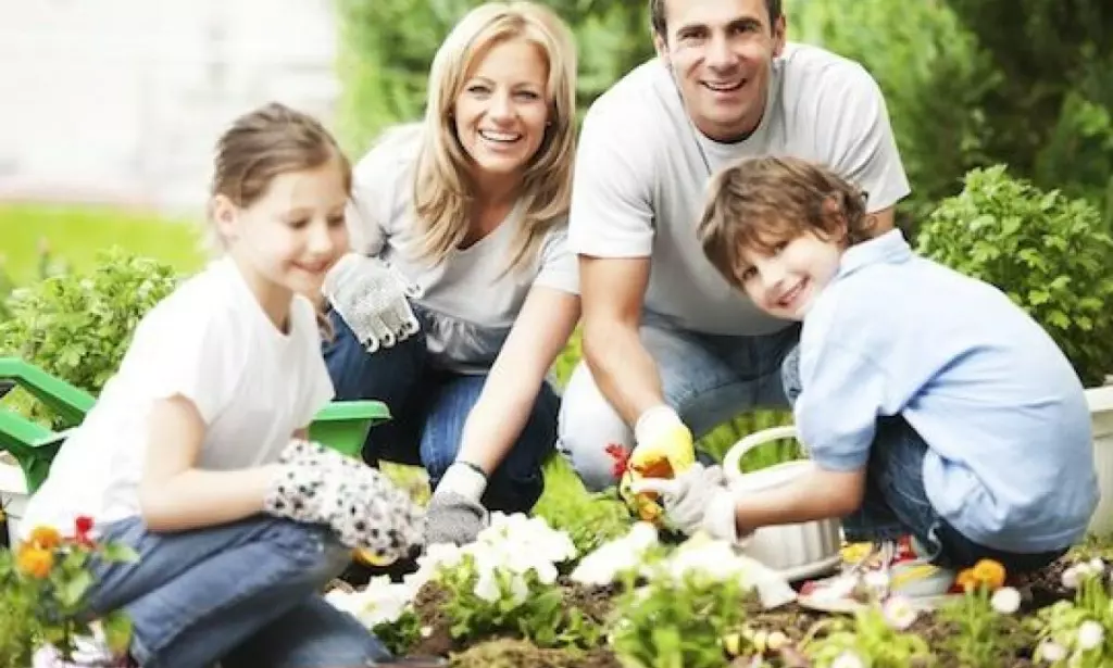 Cara Mengajarkan Anak Cara Menggunakan Tisu Dengan Bijak Panduan Lengkap Untuk Orang Tua Dan Pendidik